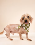 Checkmate Dog Bandana