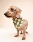 Checkmate Dog Bandana