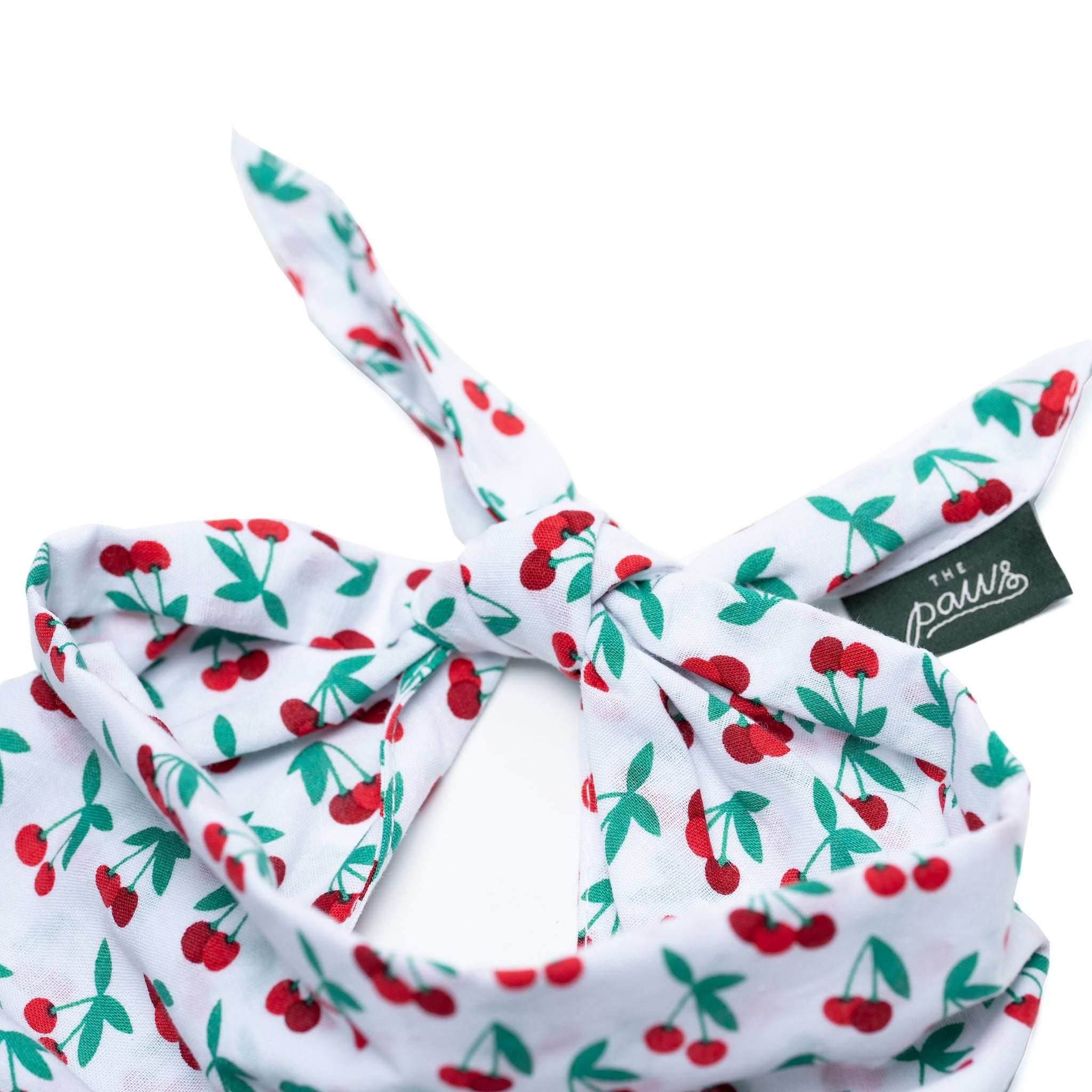 Cherry Crush Bandana from The Paws