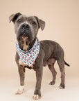 Cherry Crush Dog Bandana