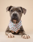 Cherry Crush Dog Bandana