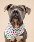 Cherry Crush Dog Bandana