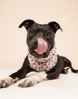 Cherry Pop Dog Bandana