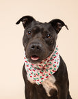 Cherry Pop Dog Bandana