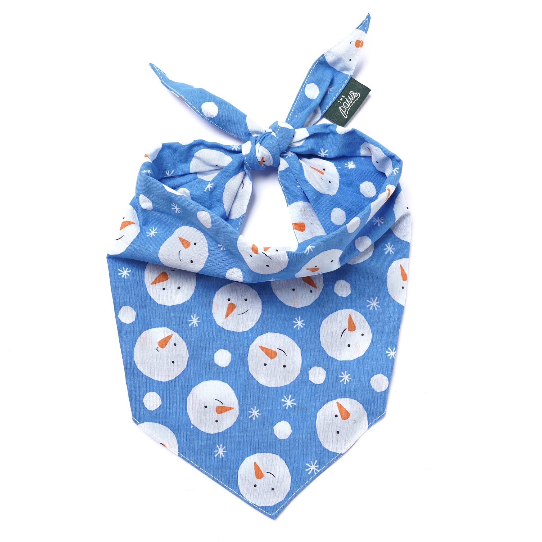 Chilly Dog Bandana