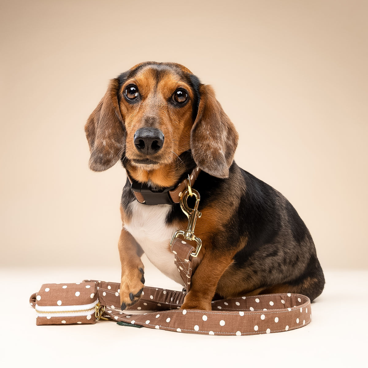 Chocolate Dot Walk Set