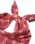 Cider Dog Bandana
