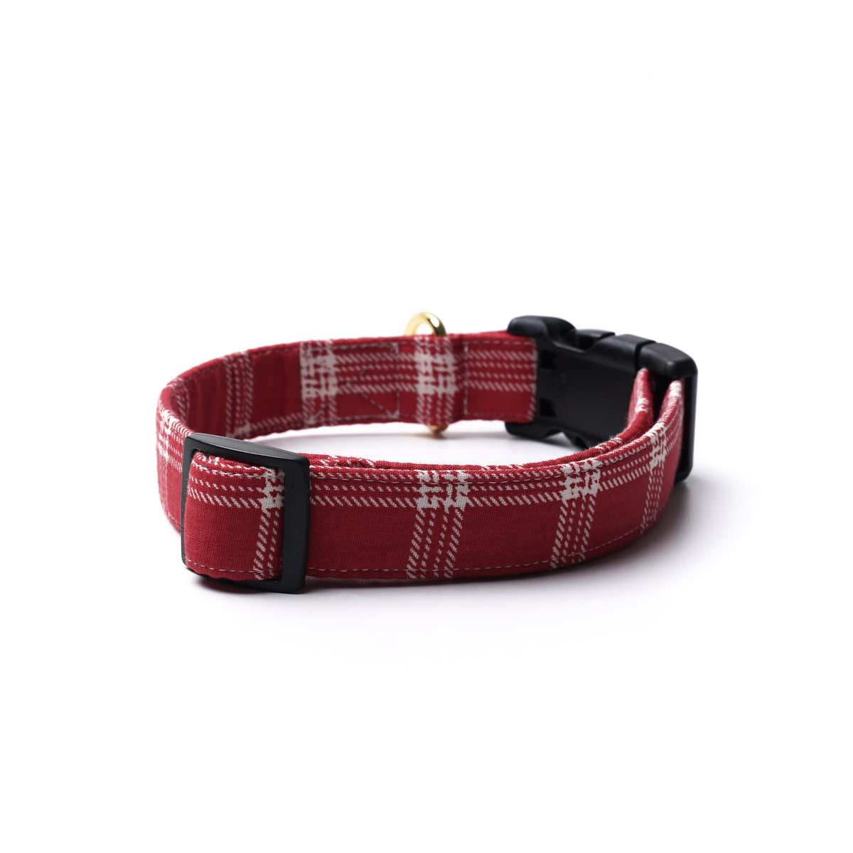 Cider Dog Collar
