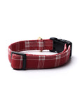 Cider Dog Collar