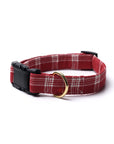 Cider Dog Collar