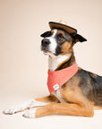 Red Gingham Dog Bandana from The Paws
