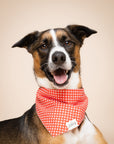 Red Gingham Dog Bandana staple design from The Paws