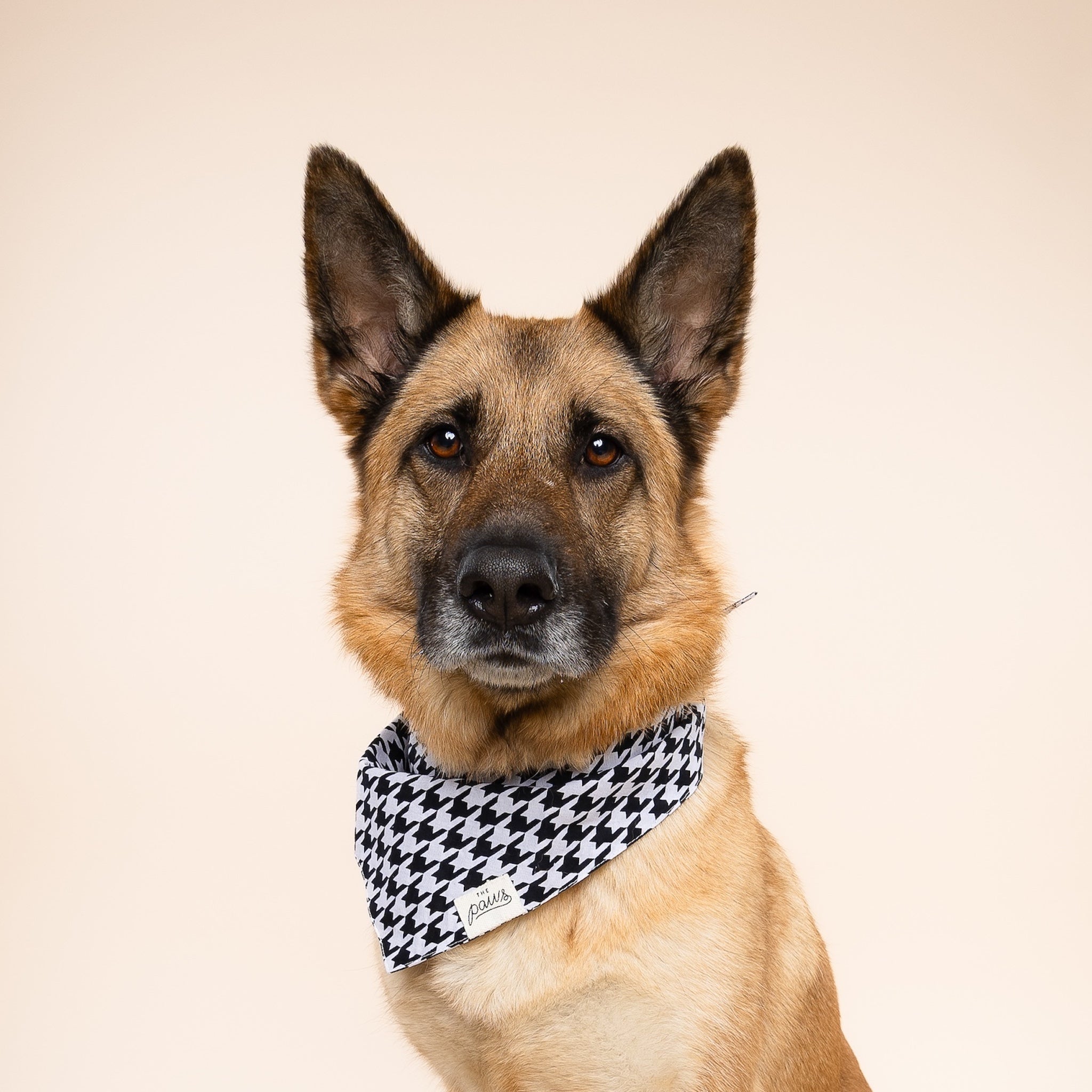 Classic Houndstooth Dog Bandana