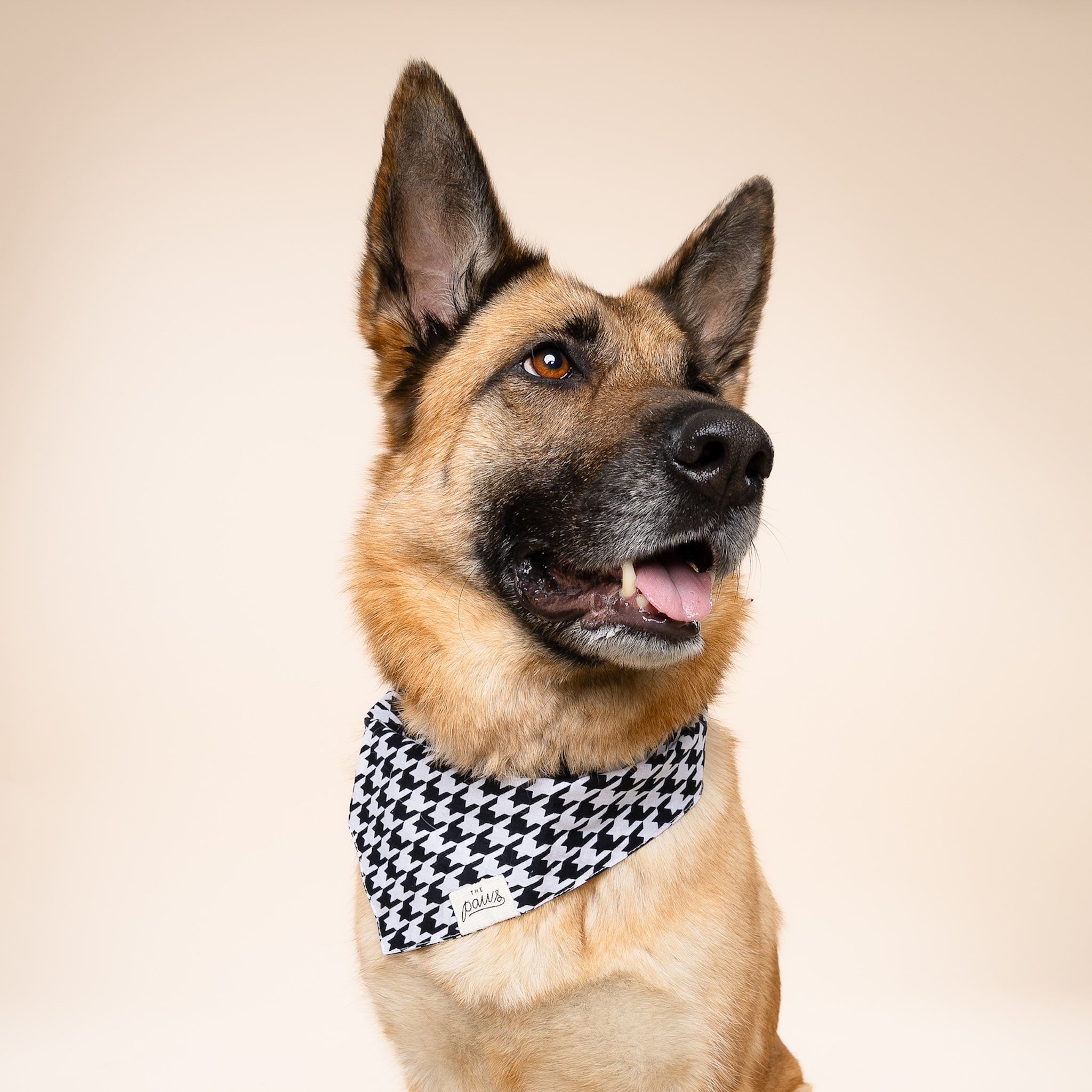 Classic Houndstooth Dog Bandana