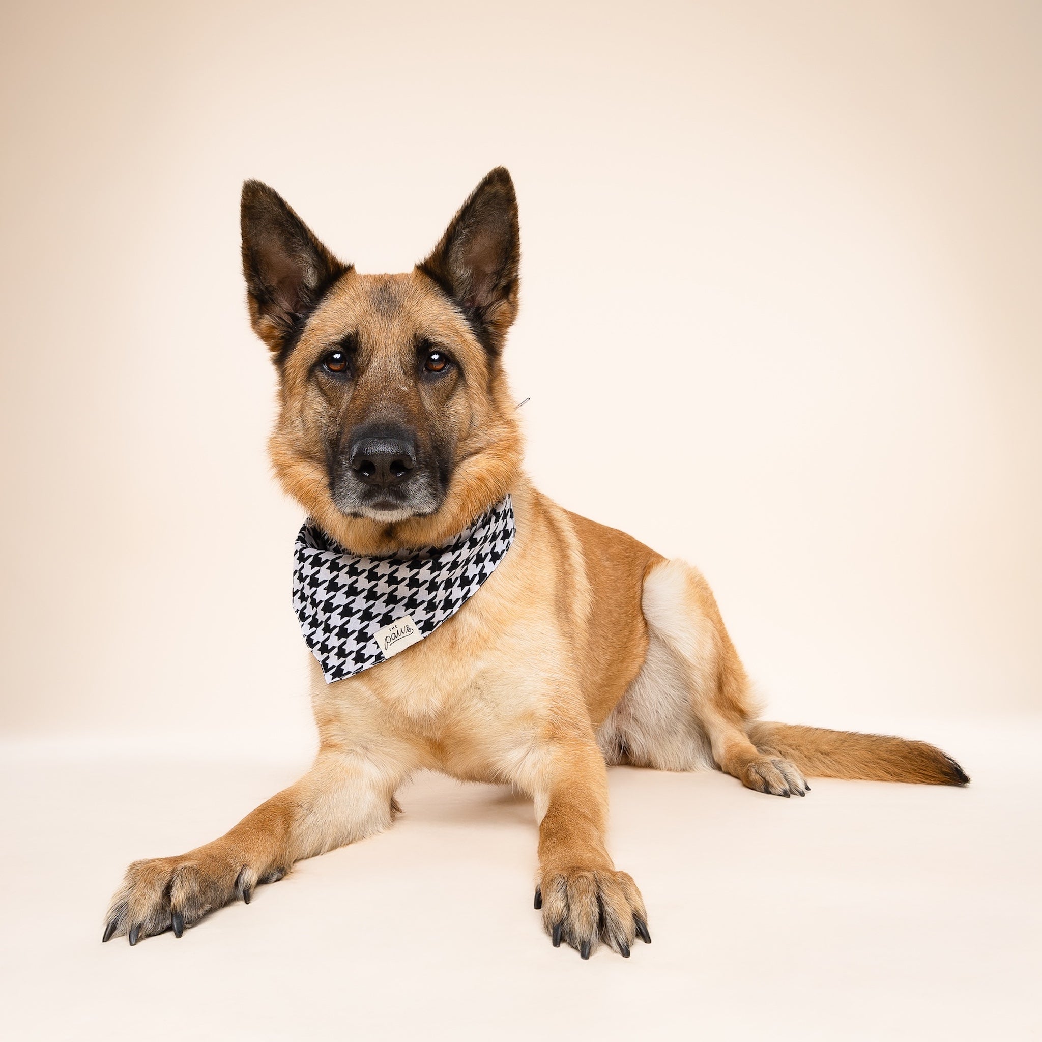 Classic Houndstooth Dog Bandana