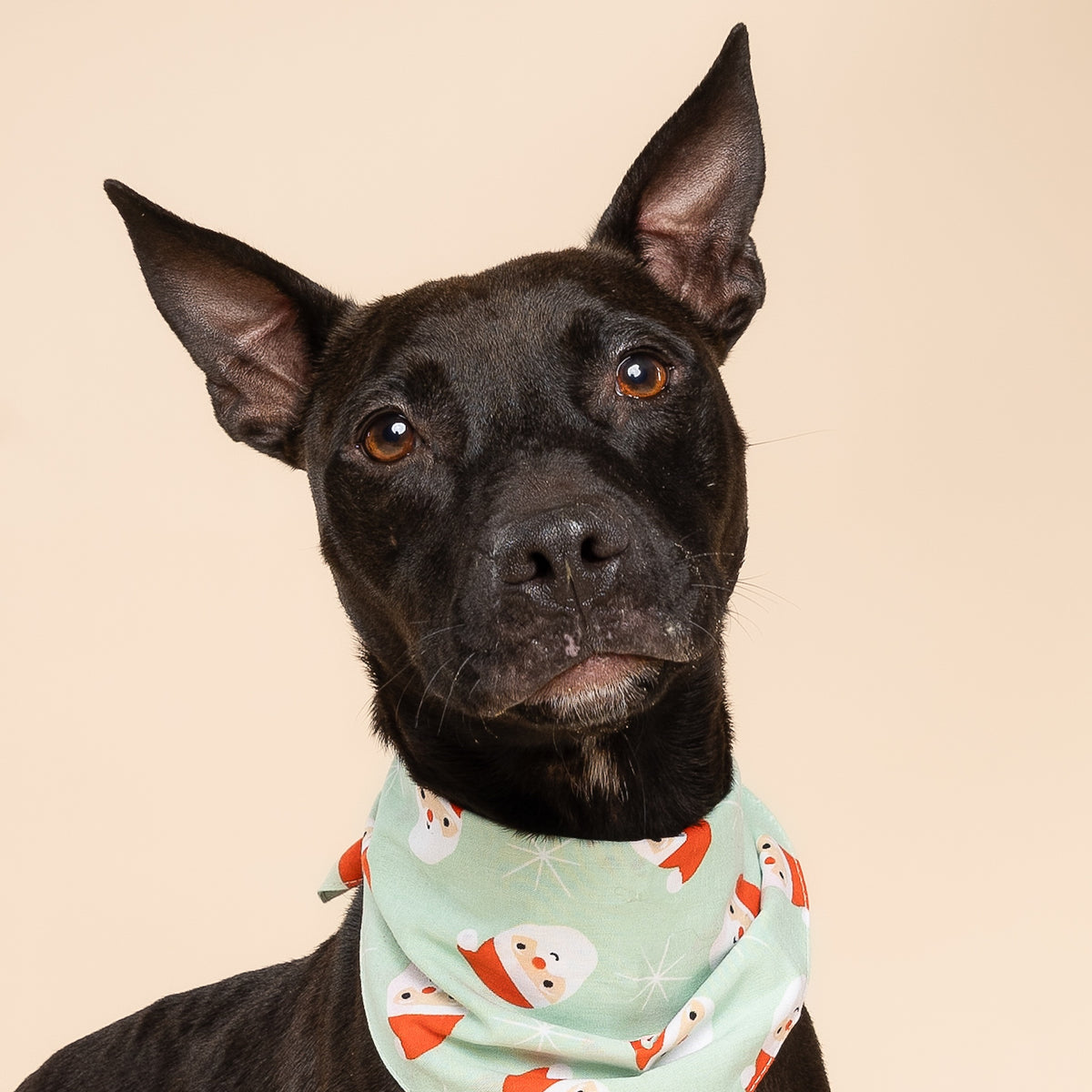 Claus Dog Bandana
