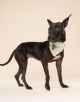 Claus Dog Bandana