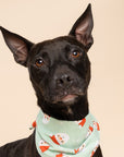 Claus Dog Bandana