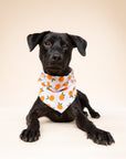 Clementine Dog Bandana