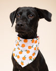 Clementine Dog Bandana