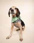 Clover Dog Bandana