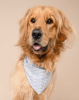 3 Pack - By The Sea Dog Bandanas