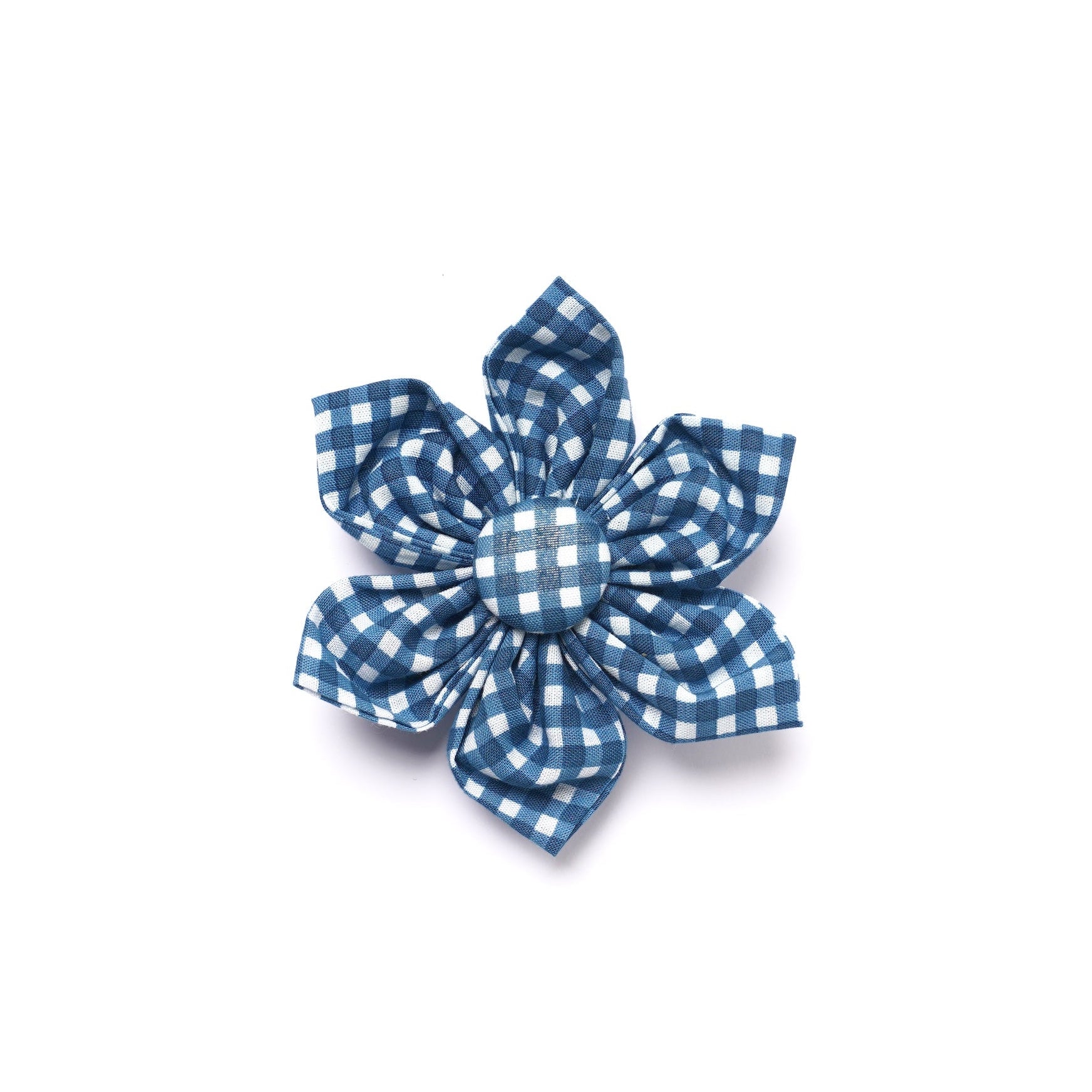 Blue and white checkered collar flower on a white background