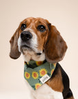 Cromwell Dog Bandana