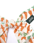 Crunch Dog Bandana