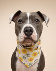 Cullipher Dog Bandana from The Paws