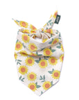 Cullipher Dog Bandana