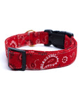 Dallas Collar