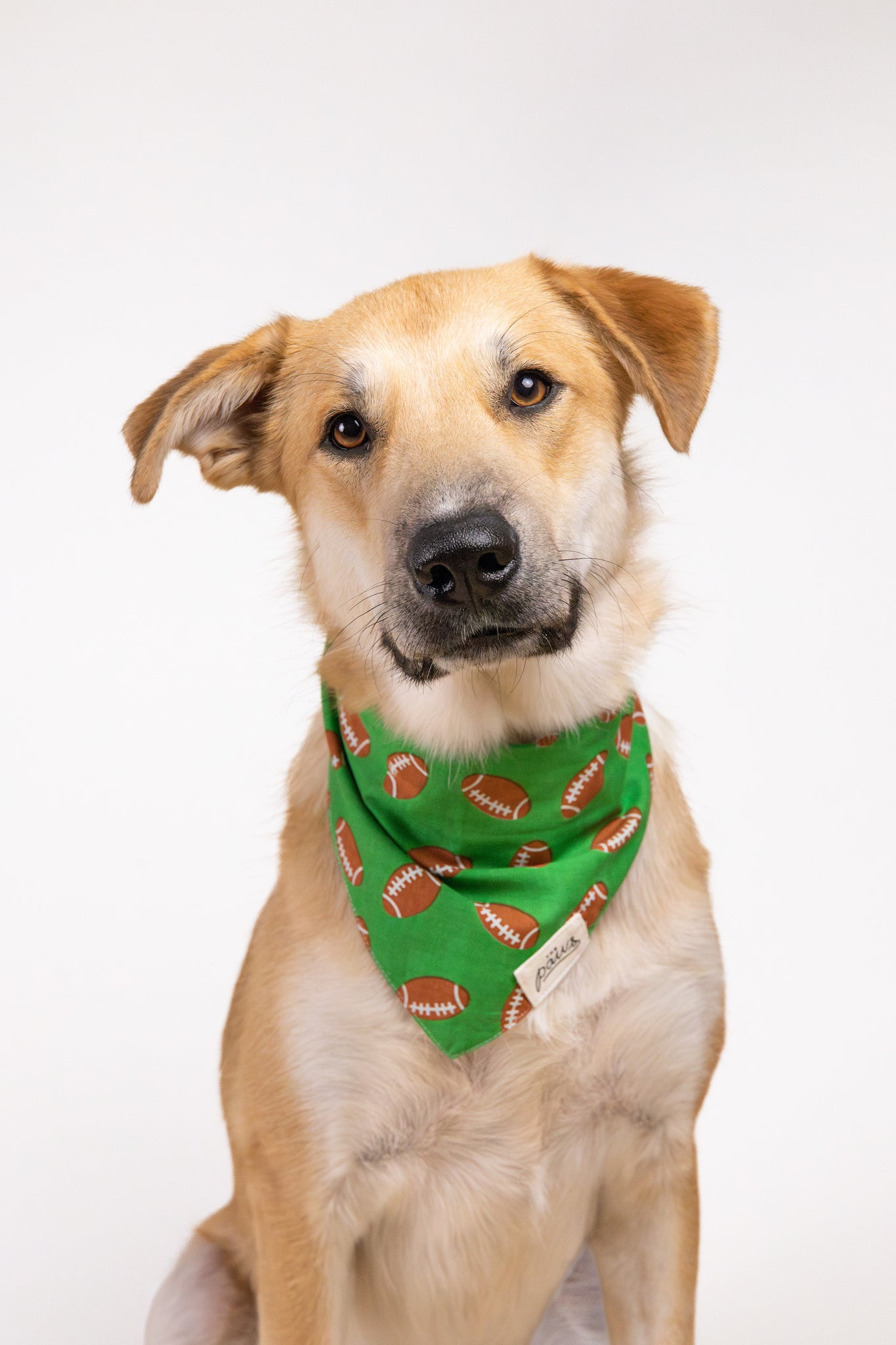Defender - Dog Bandana from The Paws
