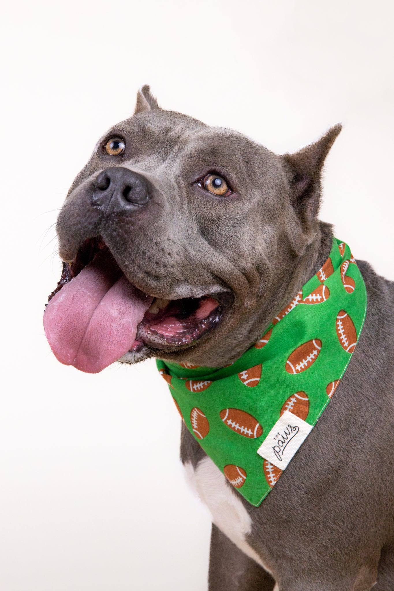 Defender Dog Bandana from The Paws