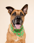 Defender Dog Bandana