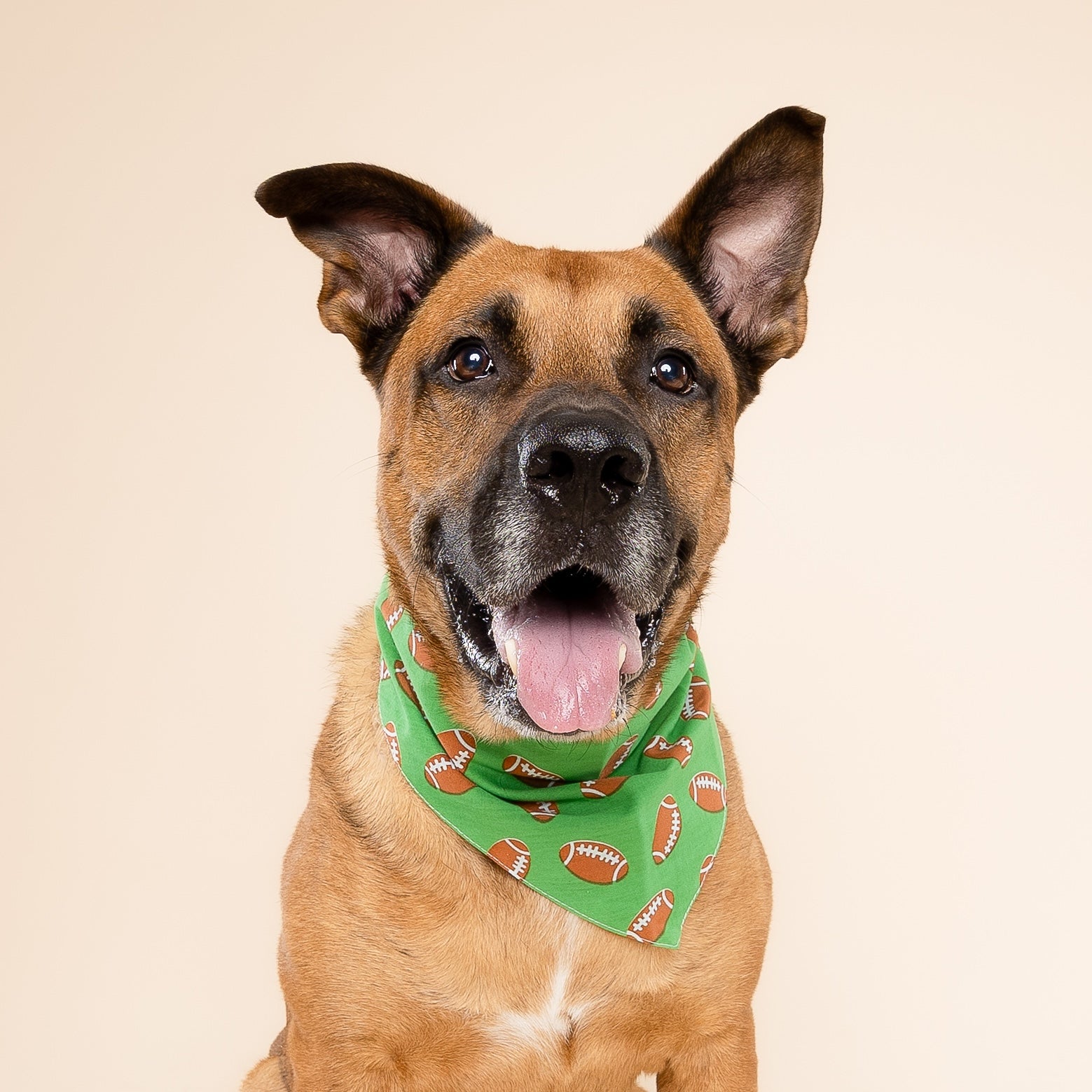 Defender Dog Bandana