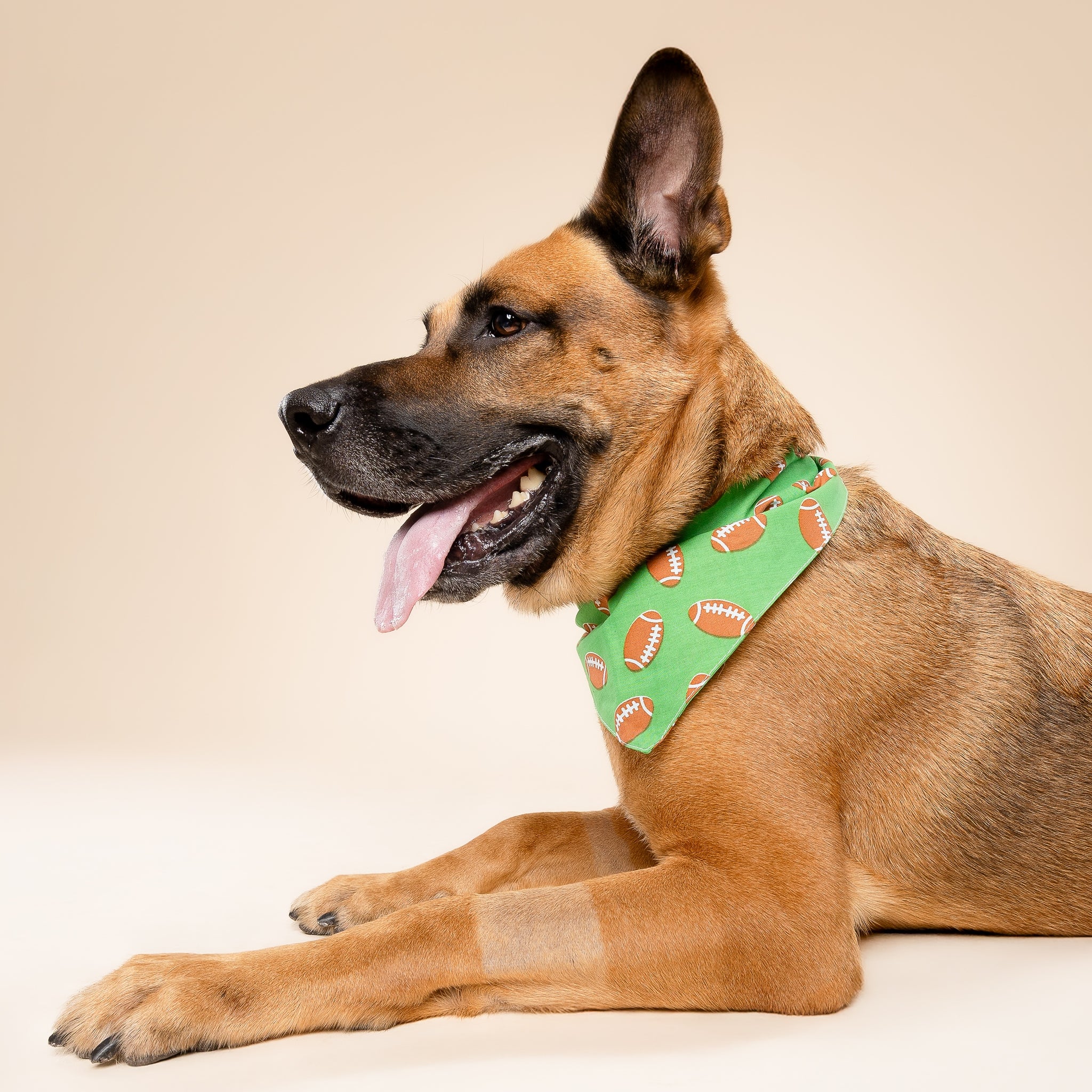 Defender Dog Bandana