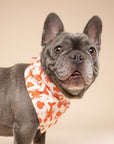 Dockside Dog Bandana