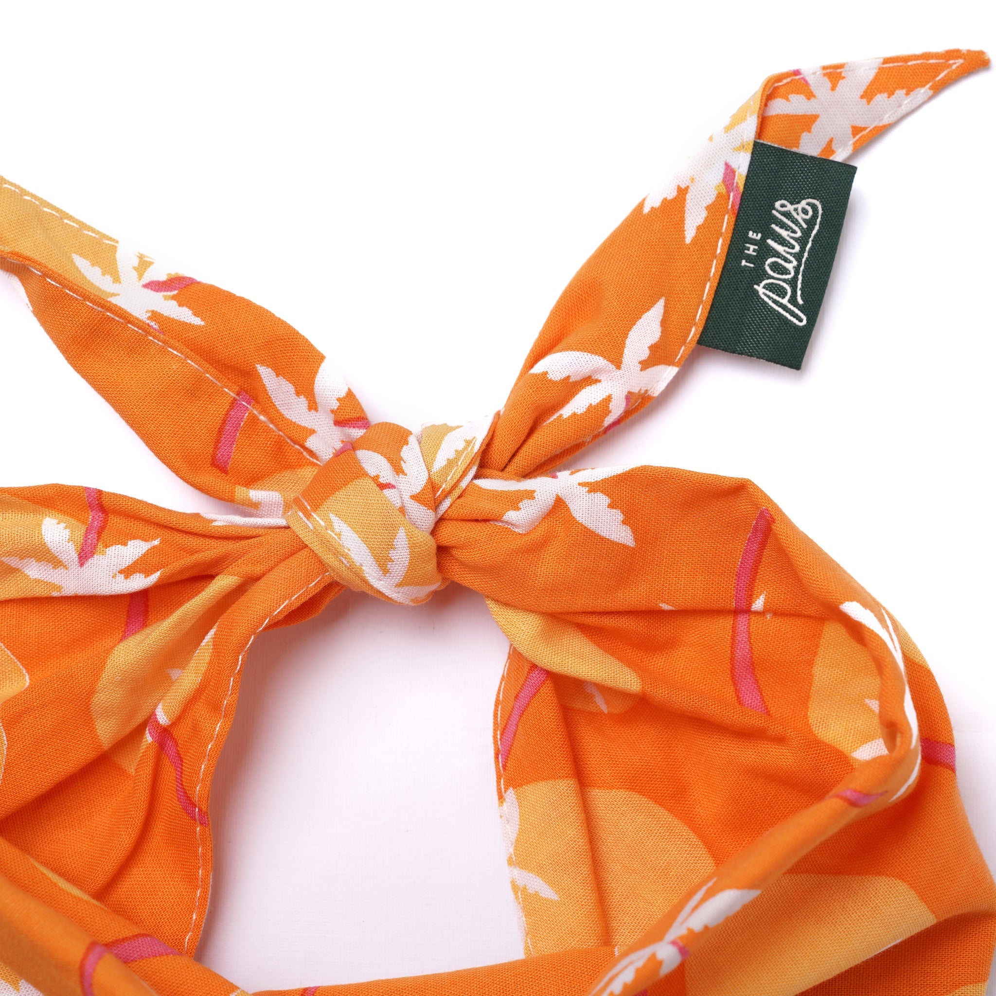 Dreamland Dog Bandana