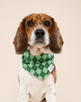 Dublin Dog Bandana from The Paws II