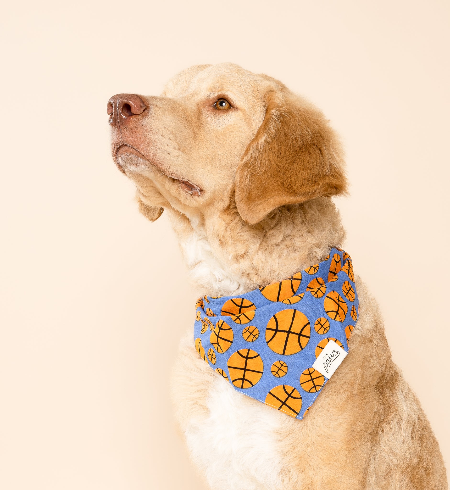 Dunk (Basketball) Dog Bandana