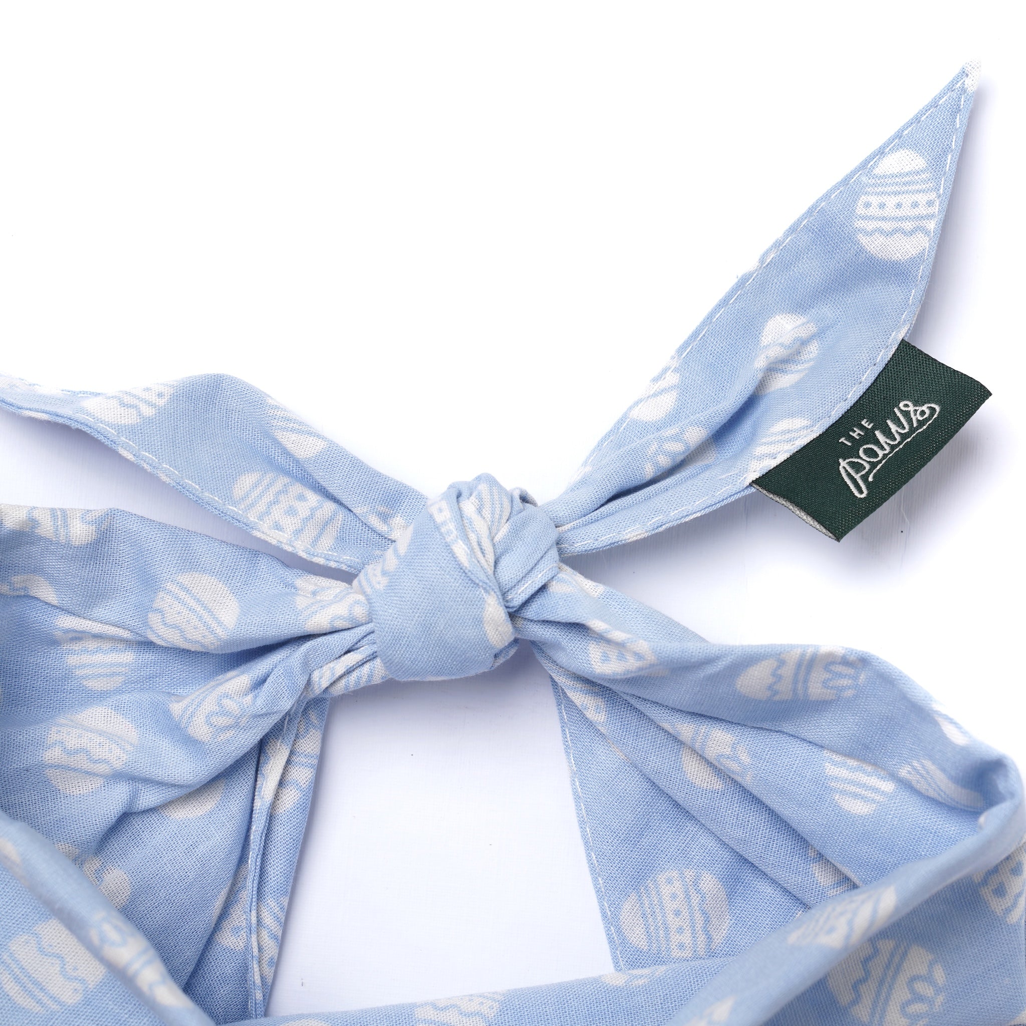 Egg Hunt from The Paws