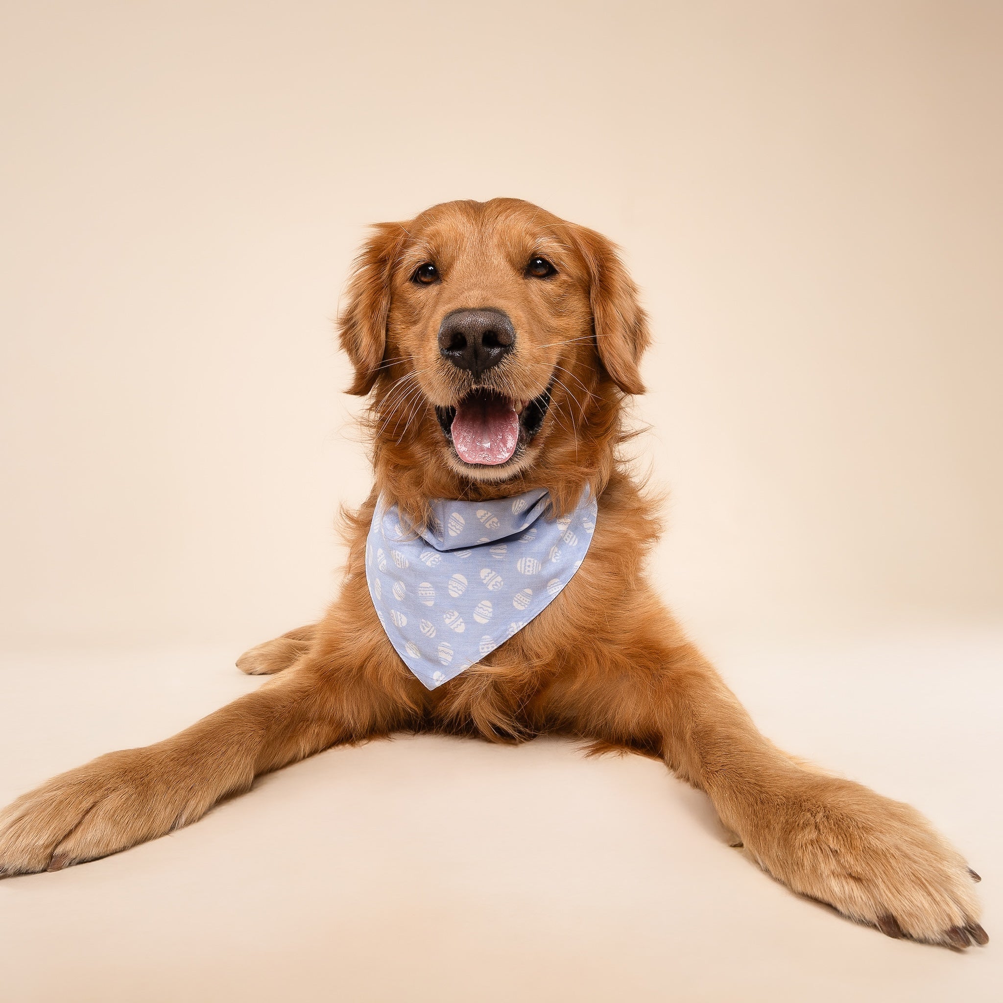 Egg Hunt Dog Bandana