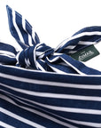 Everyday Stripe Dog Bandana