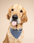 Everyday Stripe Dog Bandana