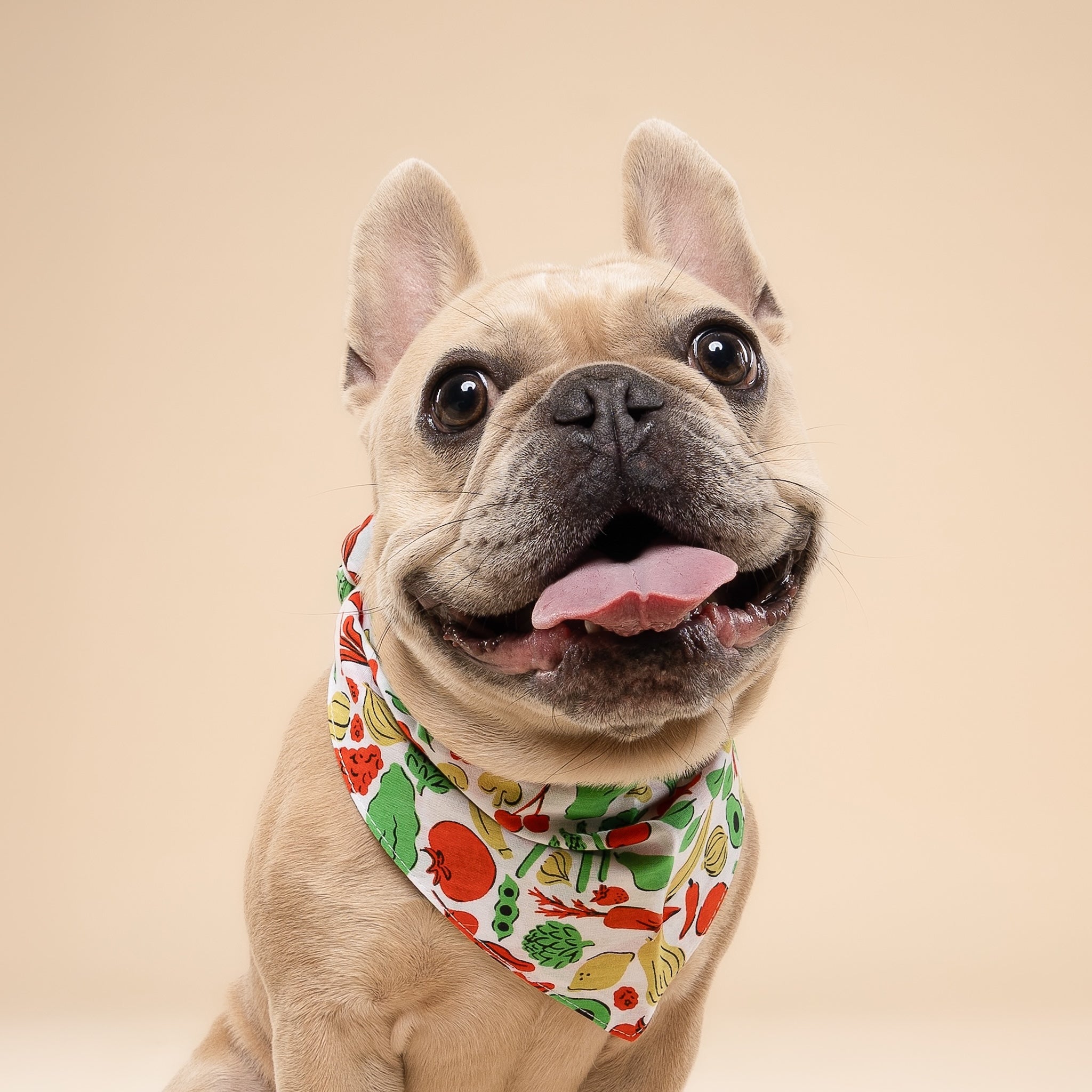 Farmers Market Dog Bandana