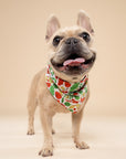 Farmers Market Dog Bandana