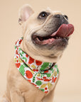 Farmers Market Dog Bandana