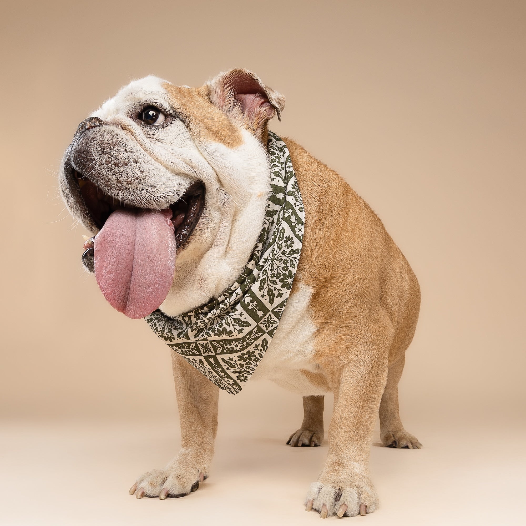 Fernwood Dog Bandana