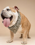 Fernwood Dog Bandana